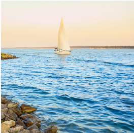 Forest Bay in Barrie, 2