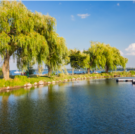 Forest Bay in Barrie, 6